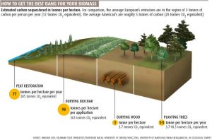 The ability of peatland to absorb and store carbon in comparison with other biomass carbon storage techniques (Lovett, R. (3rd May 2008) Burying biomass to fight climate change, New Scientist Magazine).