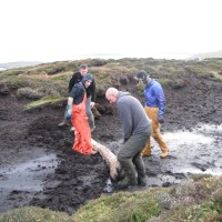 Peatland Restoration at Cunningsburgh Hill Apportionment by Lerwick, Shetland.